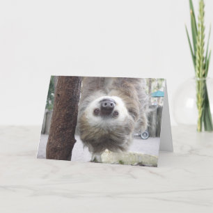 What's Hangin' ? Card