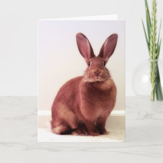 "What's hoppenin'?" Card (Front)