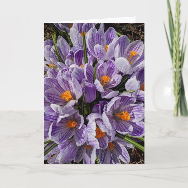 What's in the Frames? #9 Card (Front)