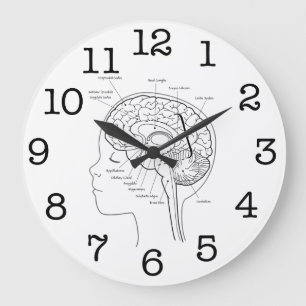 What's in Your Brain Large Clock