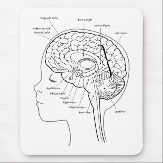 What's in Your Brain Mouse Pad