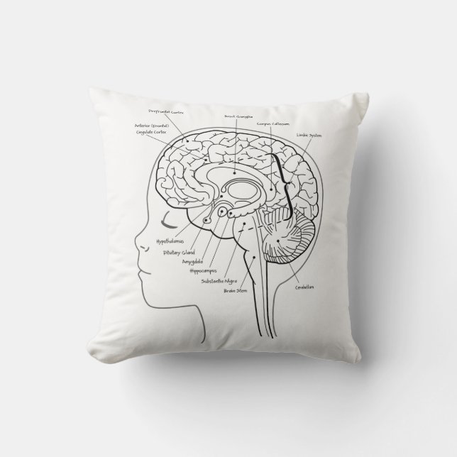 What's in Your Brain Pillow (Front)