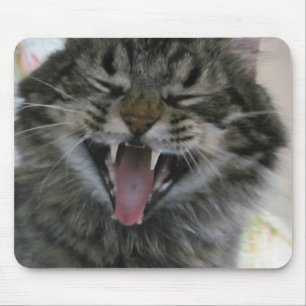 What's So Funny?  I'm a cat you're not Mouse Pad