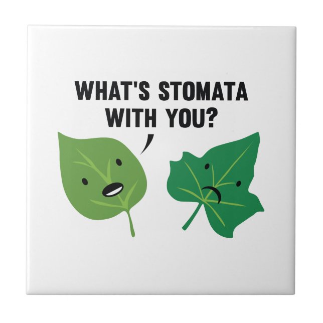 What's Stomata With You? Tile (Front)