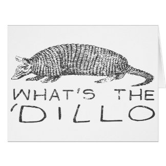 What's the Dillo?