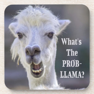 What's The Prob- Llama ? Cute Funny LLAMA Coaster
