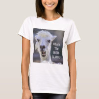 What's The Prob- Llama ? Cute Funny LLAMA