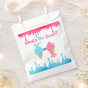  What's the Scoop Ice Cream Gender Reveal  Favour Bag