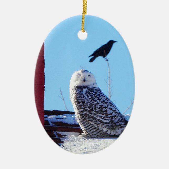 What's The World You See? Ceramic Ornament (Front)