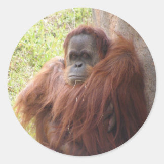 What's There To Smile About? Classic Round Sticker