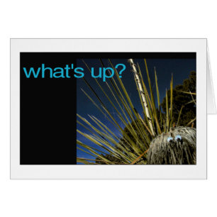 what's up?