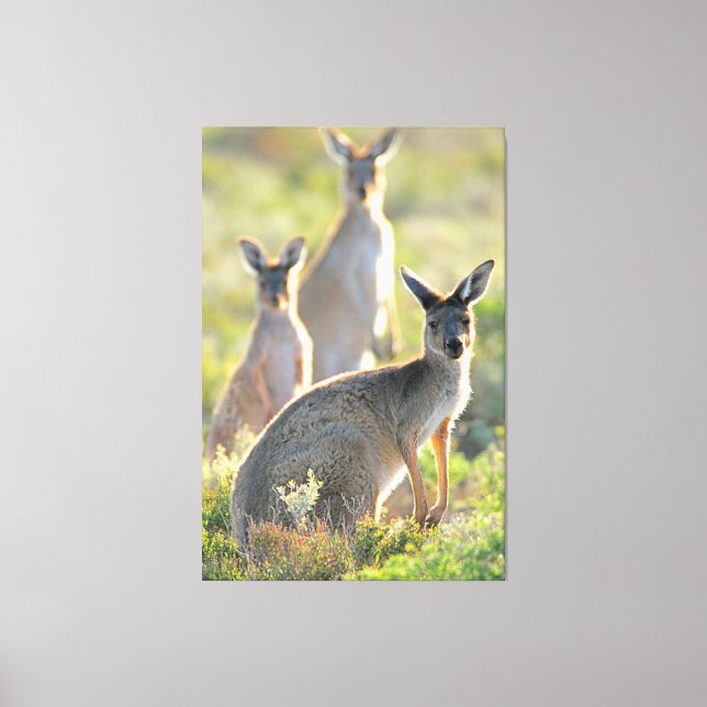 WHAT'S UP! 40x60 Canvas Print (Front)