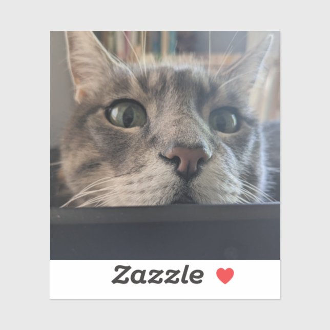 What's up, Cat? 3" Vinyl Sticker (Sheet)