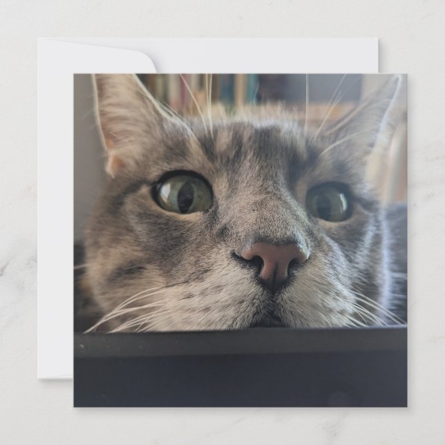 What's up, Cat? Square Greeting Card (Front)