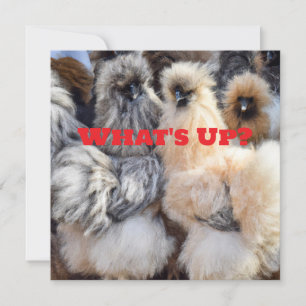 What's Up, Chicken Butt Card