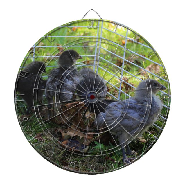 Whats Up - Chicken Butt Dartboard (Front)