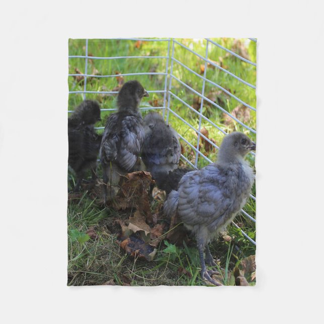 Whats Up - Chicken Butt Fleece Blanket (Front)