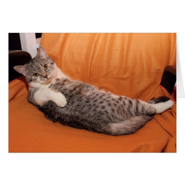 What's Up? Dinner Ready? (Front Horizontal)