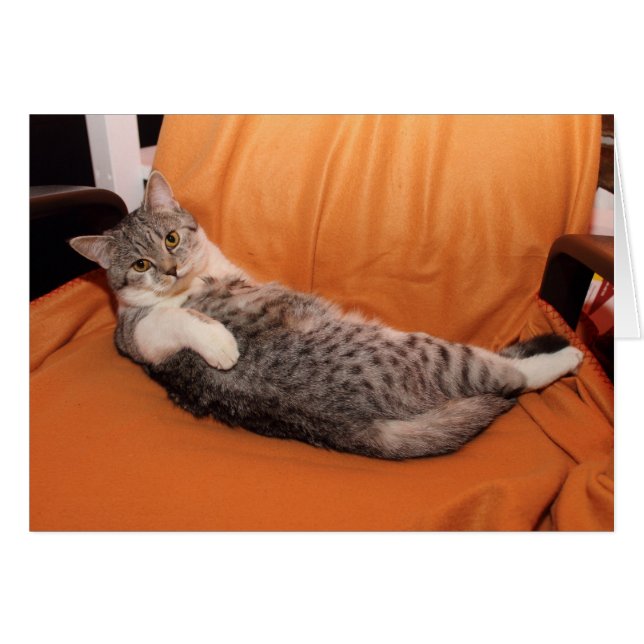 What's Up? Dinner Ready? (Front Horizontal)