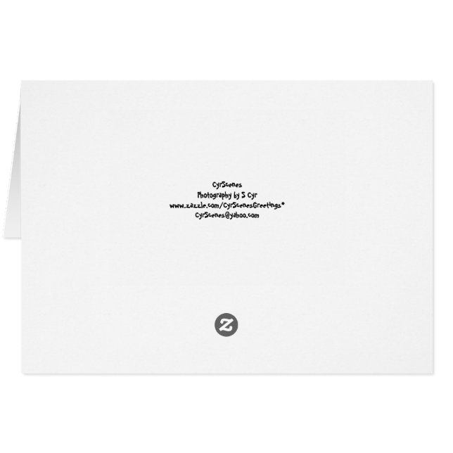 What's Up? Funny Card (Back Horizontal)