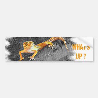 What's up? Gecko, leopard gecko, Bumper Sticker