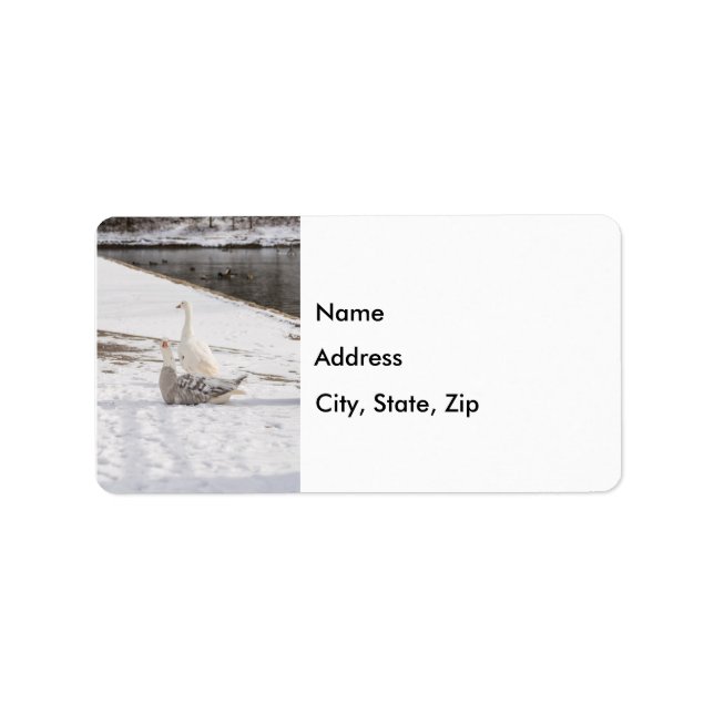 Whats Up Goose Address Label (Front)