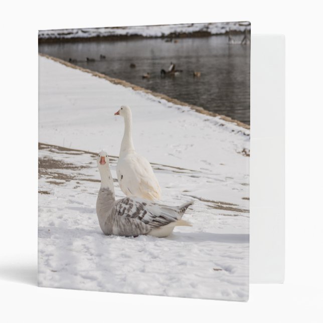 Whats Up Goose Binder (Front/Inside)