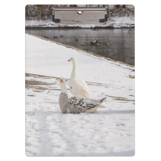 Whats Up Goose Clipboard (Front)