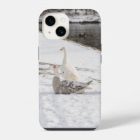 Whats Up Goose