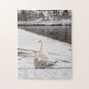 Whats Up Goose Jigsaw Puzzle