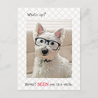 What's Up, Haven't Seen You, Dog Wearing Glasses Postcard