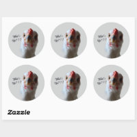 What's Up Hen Sticker