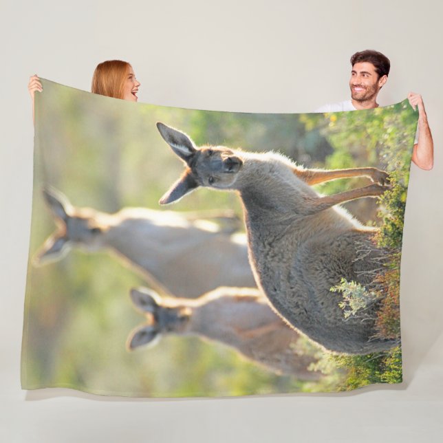 WHAT'S UP! KANGAROOS FLEECE BLANKET (In Situ)