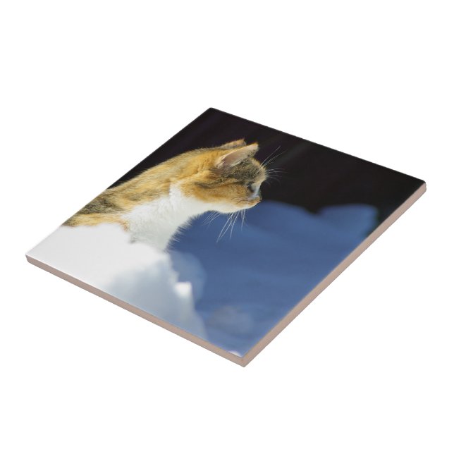 Whats Up? Tile (Side)