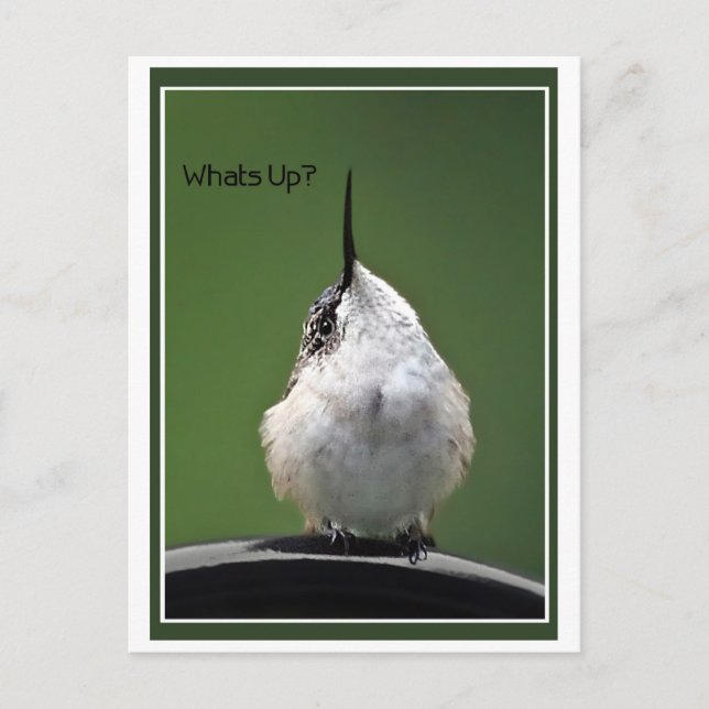 What's Up? With Text Postcard (Front)