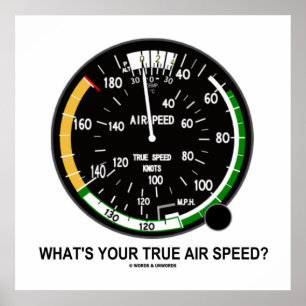 What's Your True Air Speed? Air Speed Indicator Poster