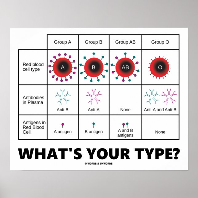What's Your Type? (Blood Cell Groups) Poster (Front)