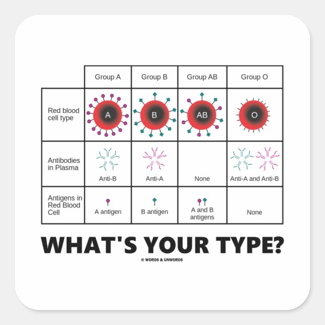 What's Your Type? (Blood Cell Groups) Square Sticker (Front)