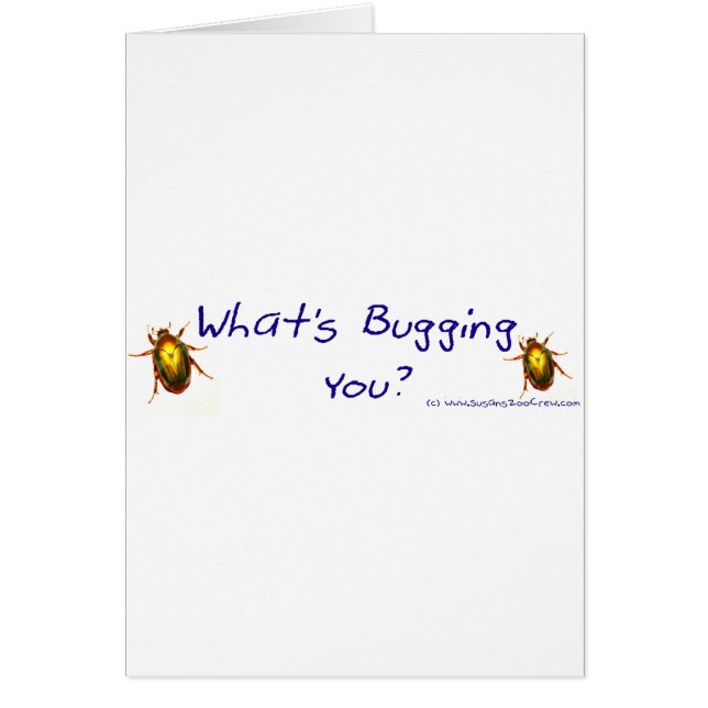 WhatsBuggingYouBumperSticker (Devant)