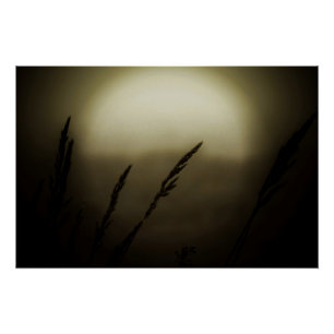 Wheat at Sunset Poster