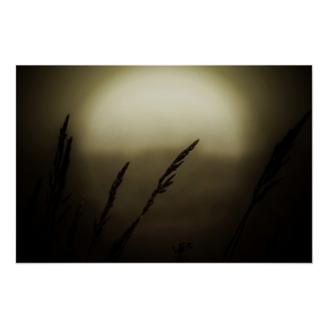 Wheat at Sunset Poster (Front)