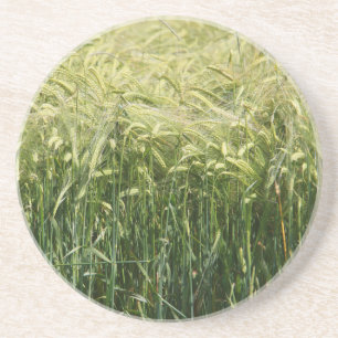 Wheat - beautiful! coaster