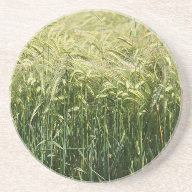 Wheat - beautiful! coaster (Front)