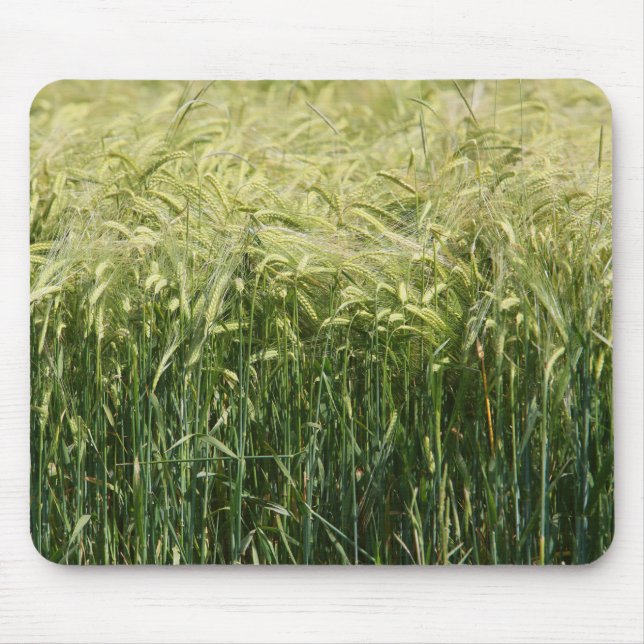 Wheat - beautiful! mouse pad (Front)