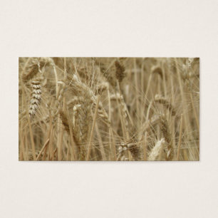 Wheat Field