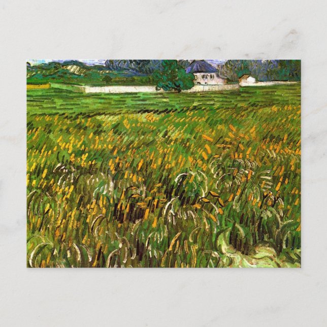 Wheat Field at Auvers by Vincent van Gogh Postcard (Front)