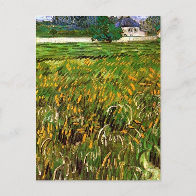 Wheat Field at Auvers by Vincent van Gogh Postcard (Front)