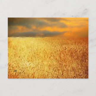 Wheat Field at Sunset,  Postcard