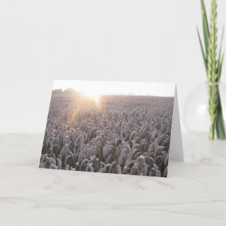 Wheat Field - Blank Greetings Card