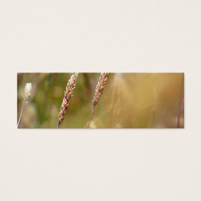 Wheat Field Blur (Front)